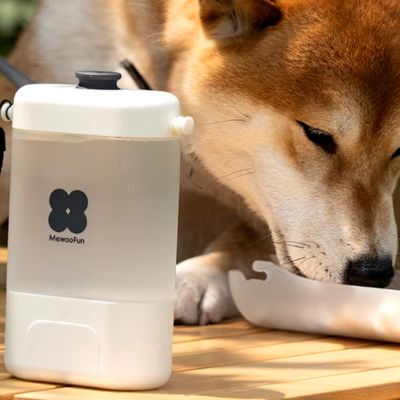 Gourde pour Chien - AquaPaw™ Blanc
