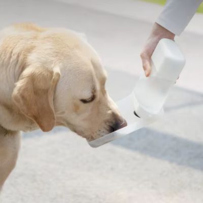 Gourde pour Chien - AquaPaw™ Blanc