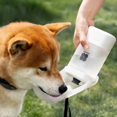 Gourde pour Chien - AquaPaw™ Blanc