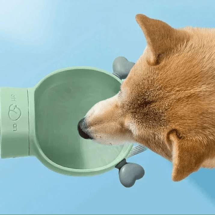 Gourde Avec Compartiment A Croquette Pour Chien Et Chat