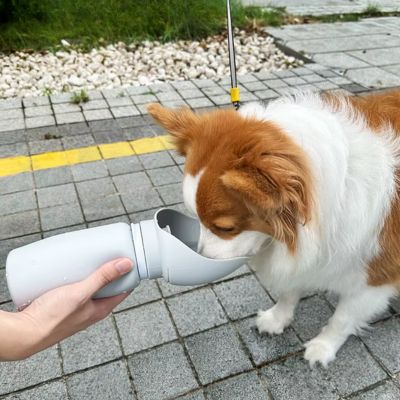 Gourde pour Chien Pliable