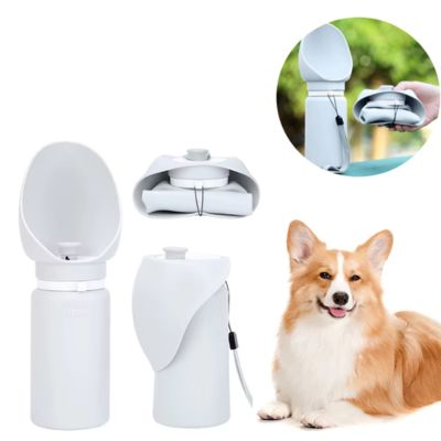 Gourde pour Chien Pliable