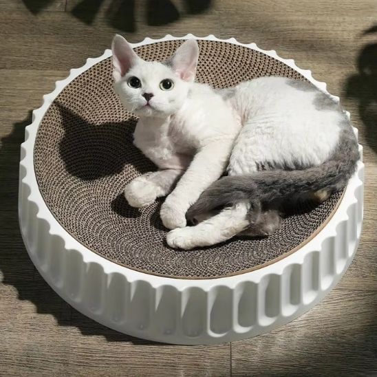 griffoir à chat | GRIFF'ROND