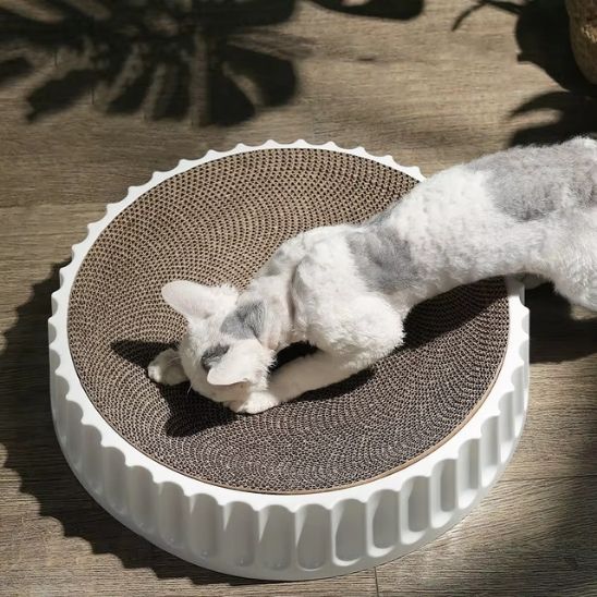 griffoir à chat | GRIFF'ROND