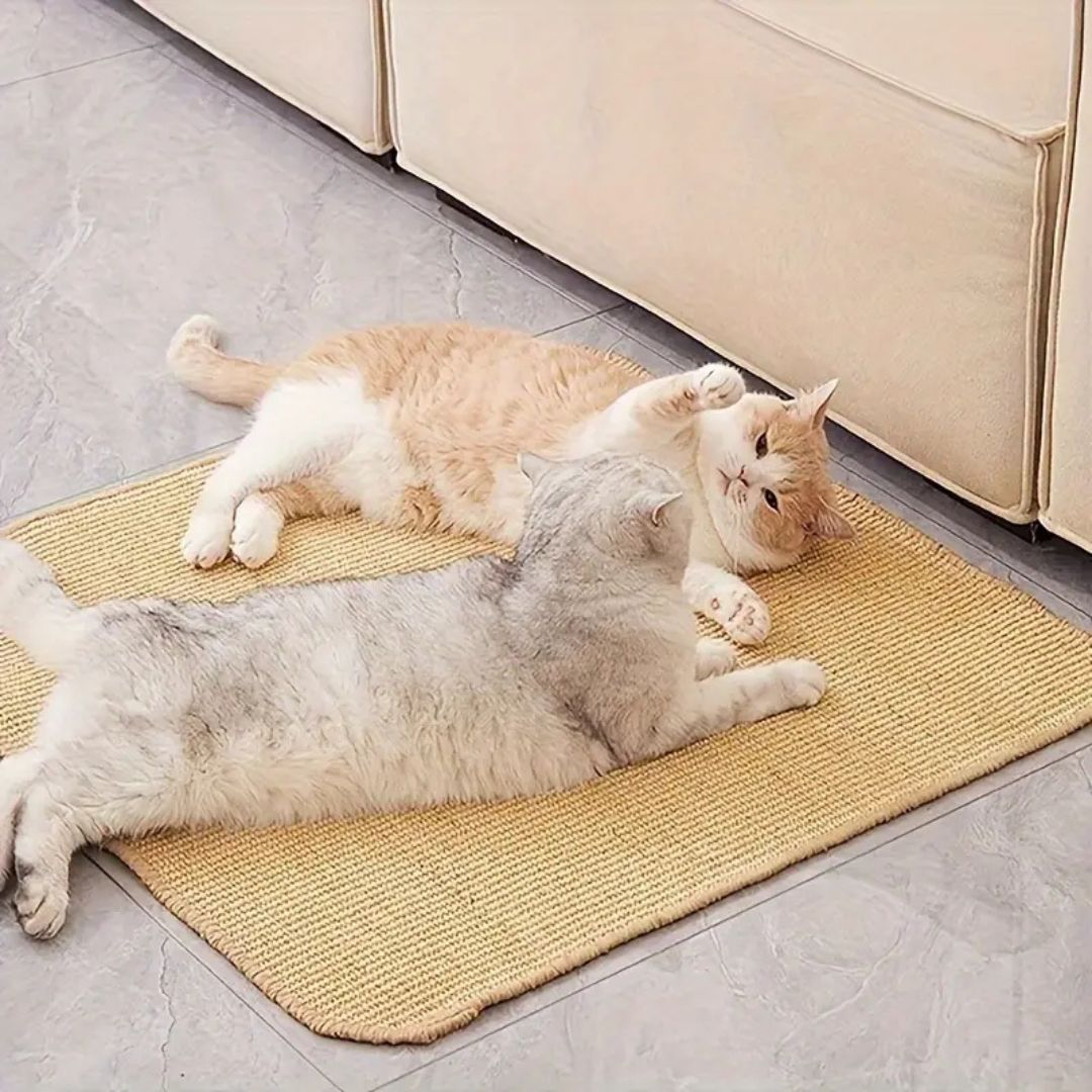 griffoir chat |TAPIS GRIFF'