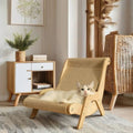 Griffoir Chat fauteuil