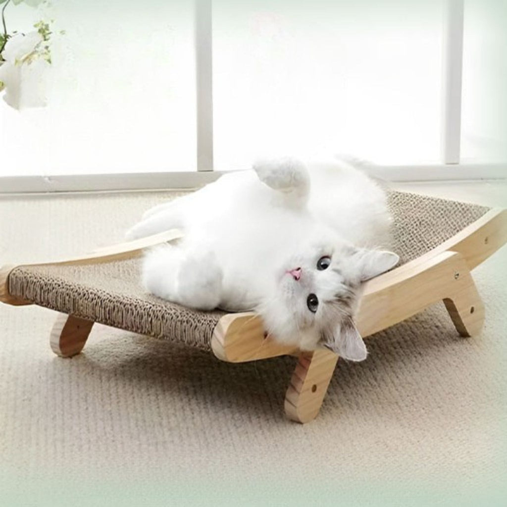 griffoir chat carton | LIT GRIFF'