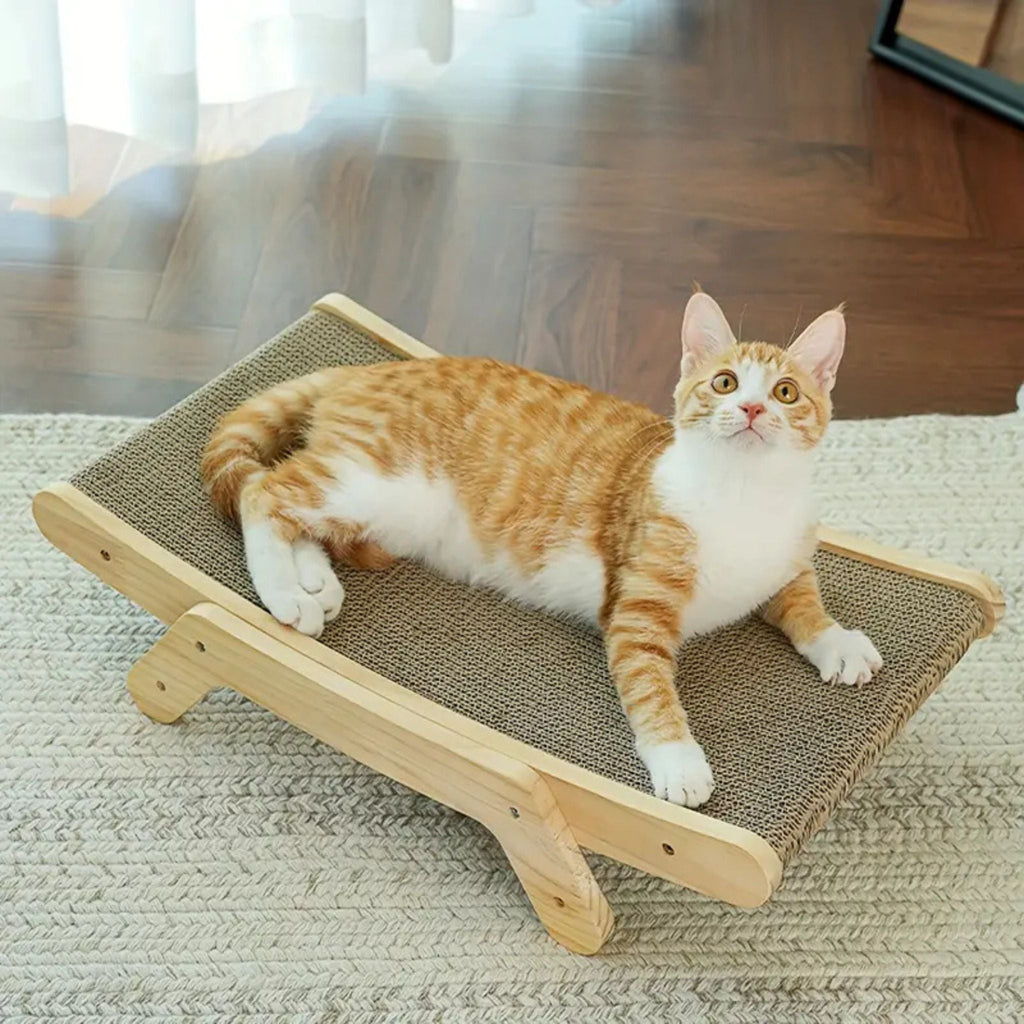 griffoir chat carton | LIT GRIFF'