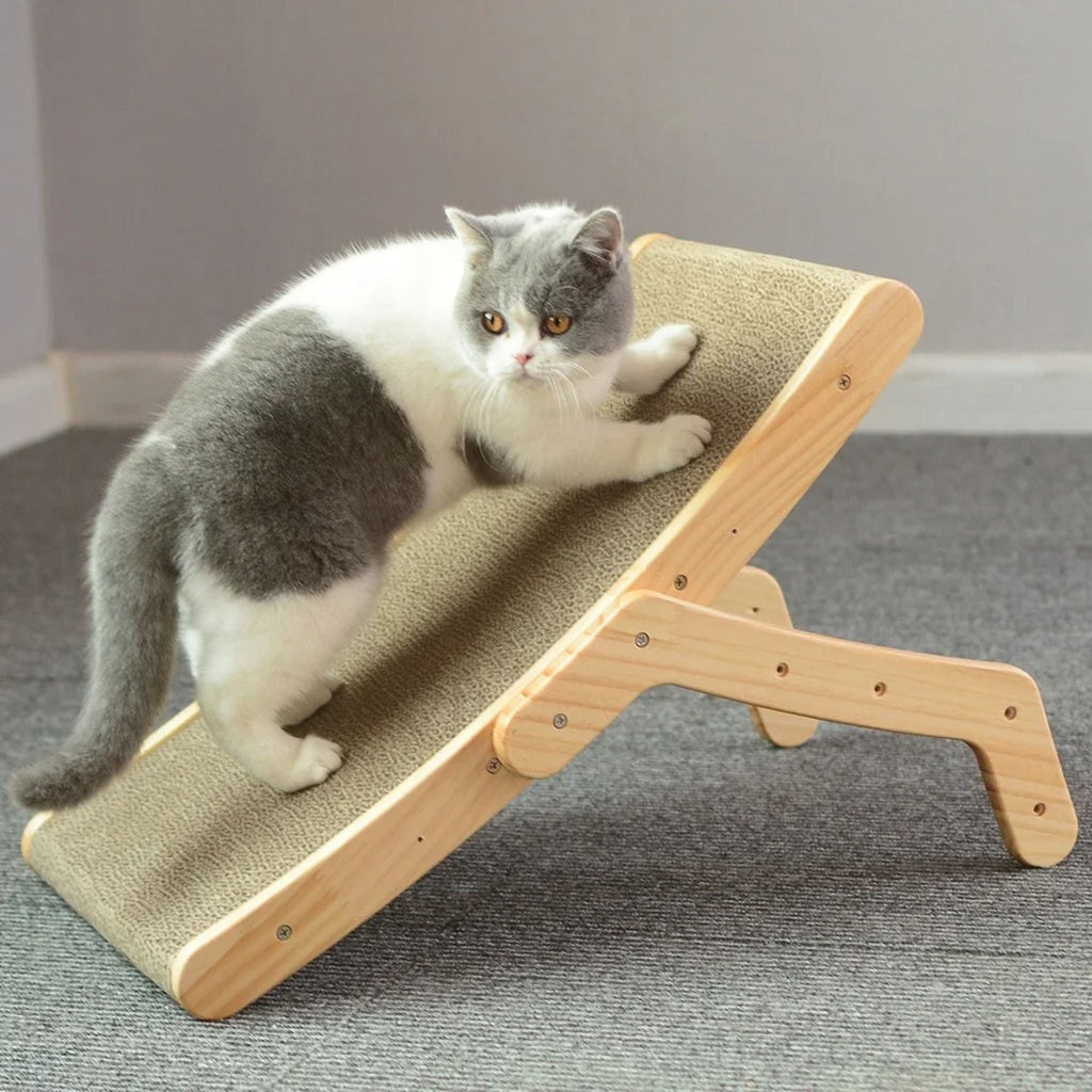 griffoir chat carton | LIT GRIFF'
