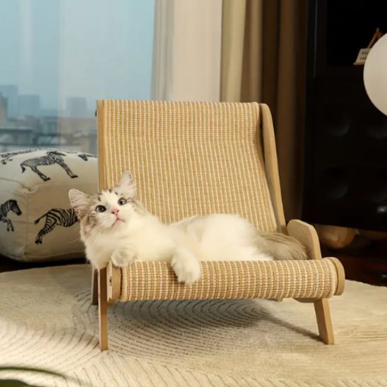 Griffoir Chat fauteuil