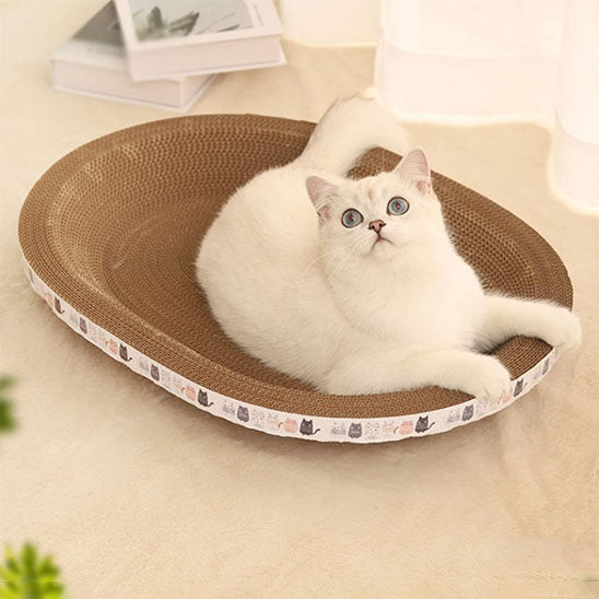 Griffoir Chat Original Ovale