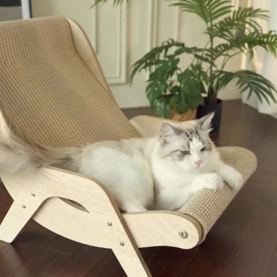 Griffoir Chat fauteuil
