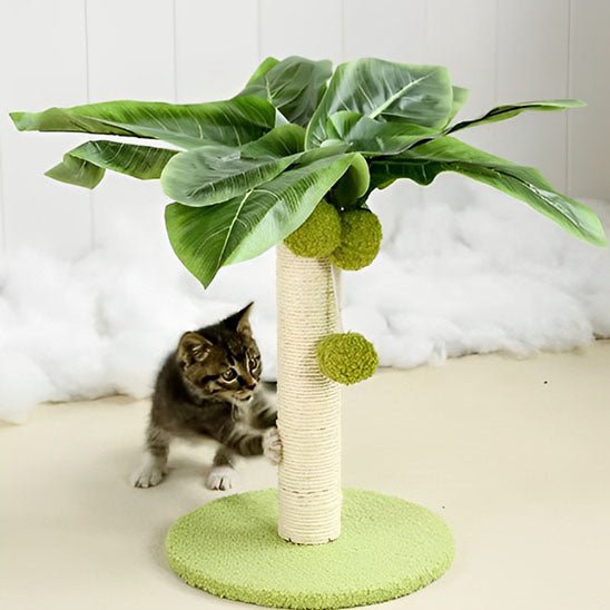 ARBRE A CHAT PALMIER | GRIFF'PALMIER