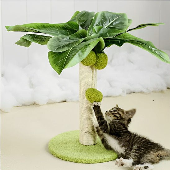 ARBRE A CHAT PALMIER | GRIFF'PALMIER