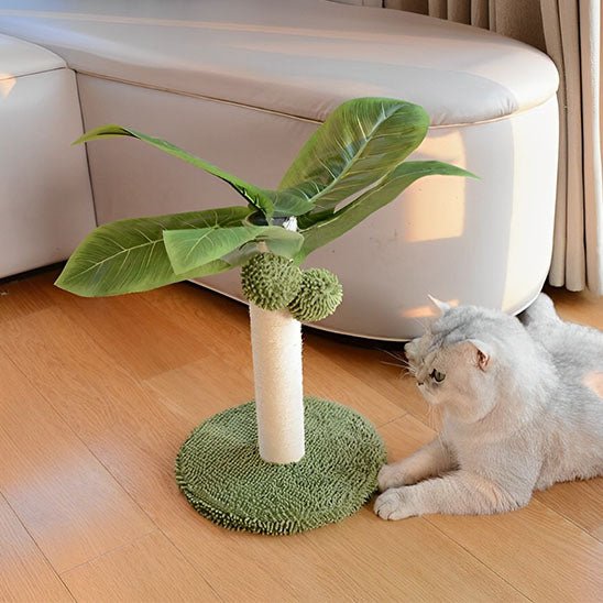 ARBRE A CHAT PALMIER | GRIFF'PALMIER