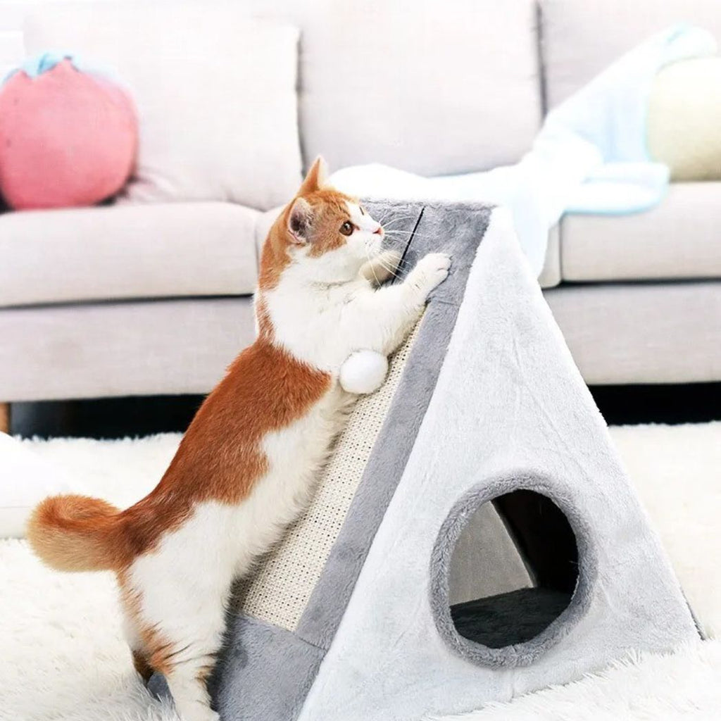 Griffoir pour chat | Refuge des Pattes