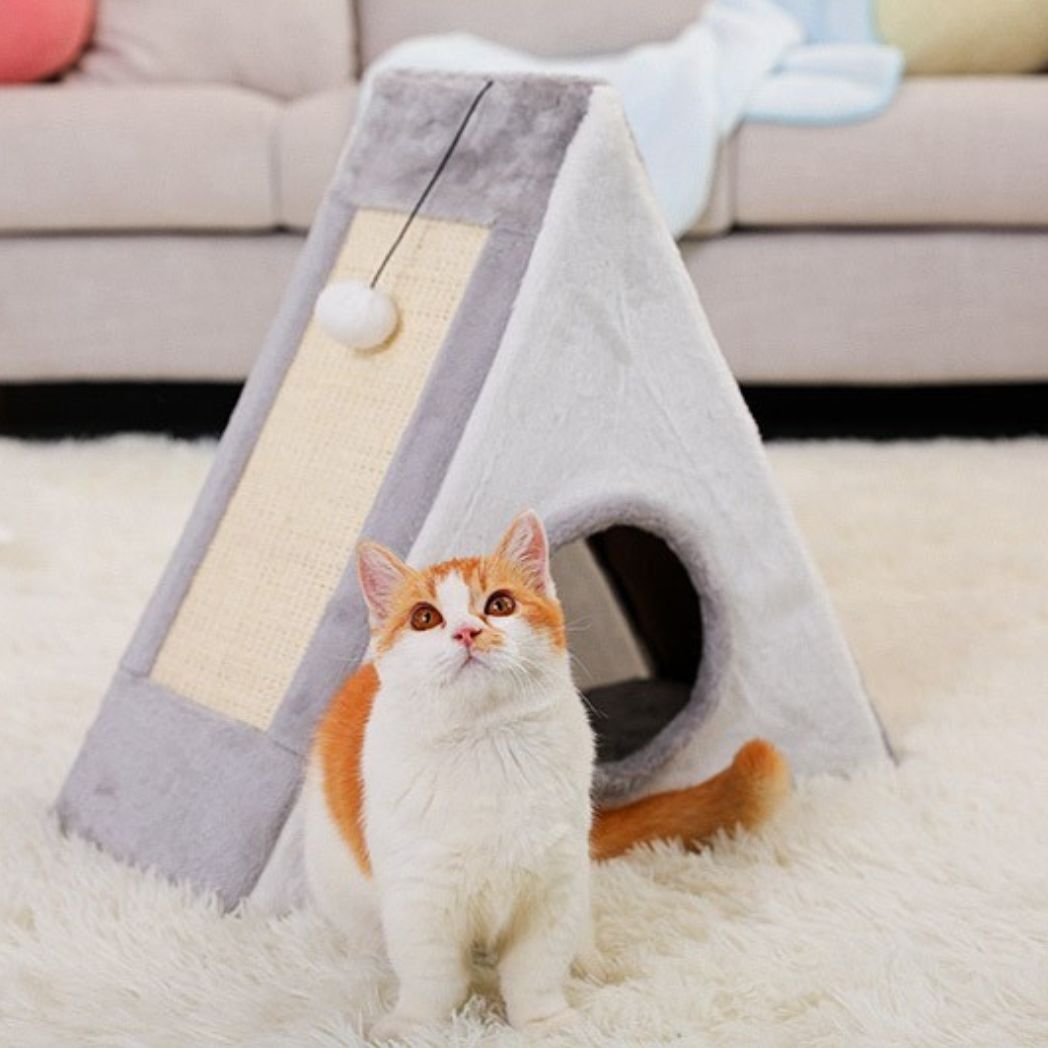 Griffoir pour chat | Refuge des Pattes