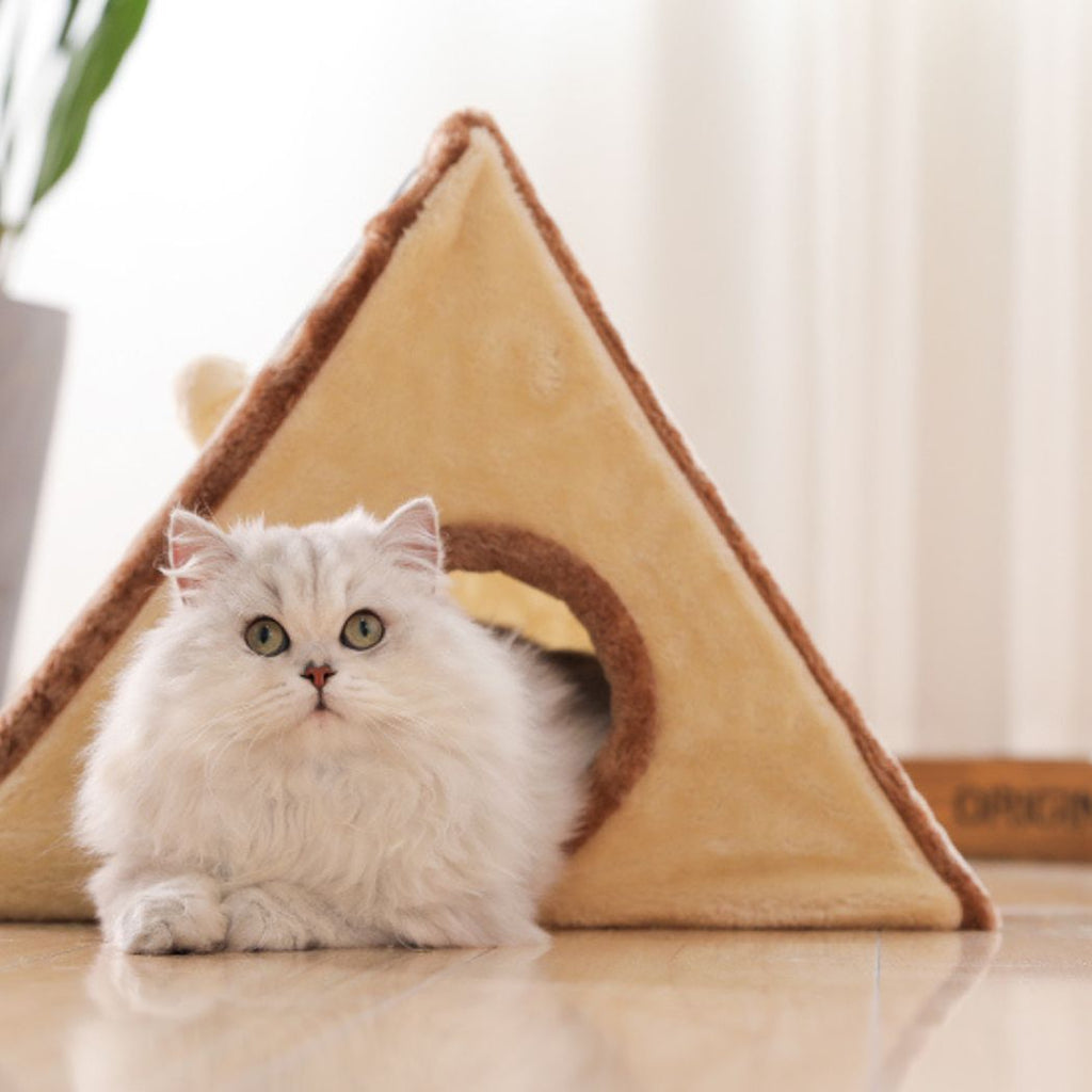 Griffoir pour chat | Refuge des Pattes