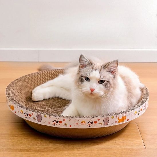 Griffoir rond pour chat | Le Nid à Griffes