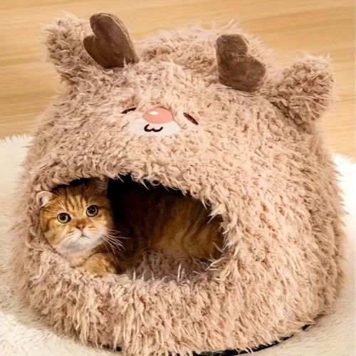grotte chat | DODO'ANIMO