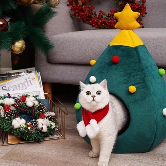 grotte chat | DODOSAPIN