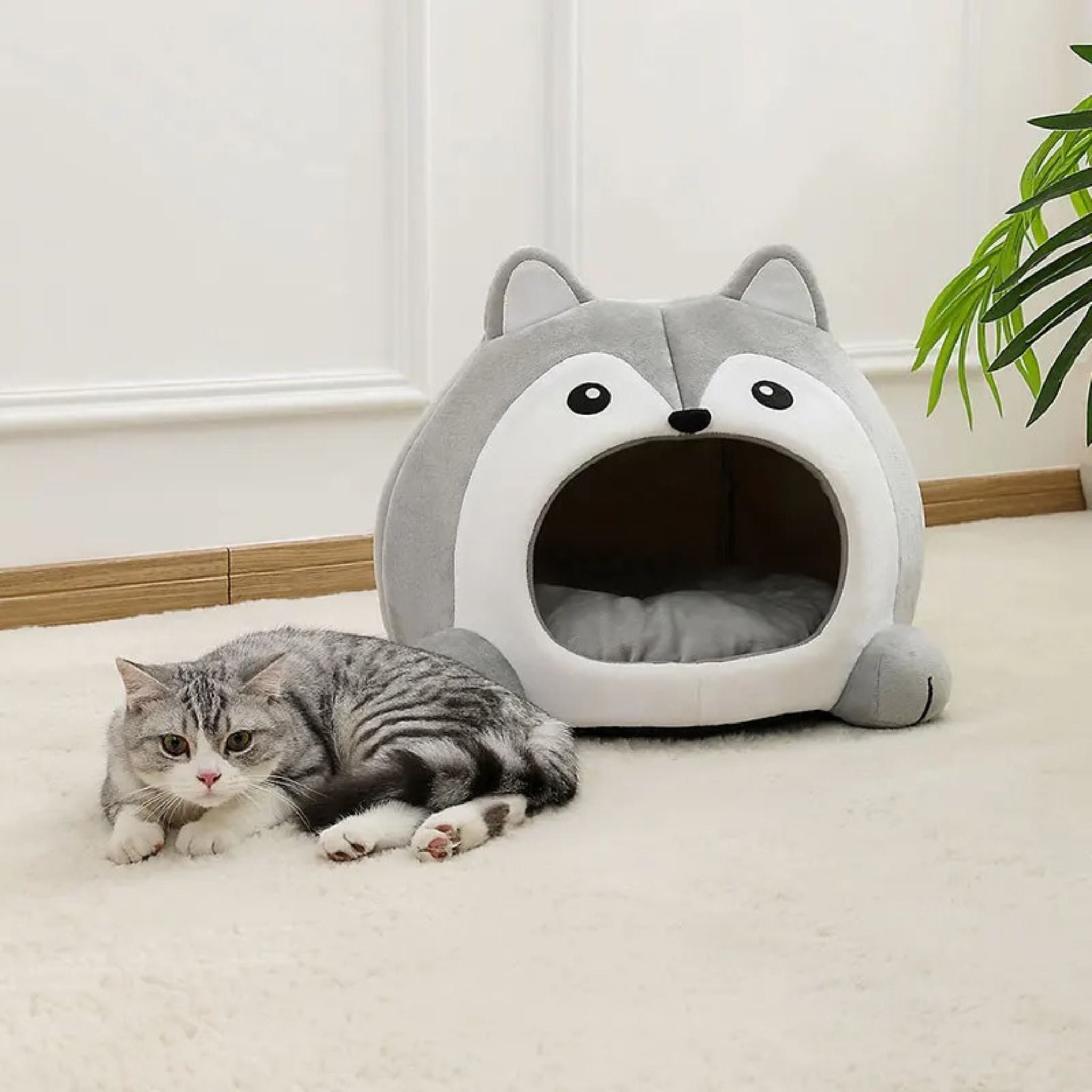 grotte pour chat | DODOLOUP