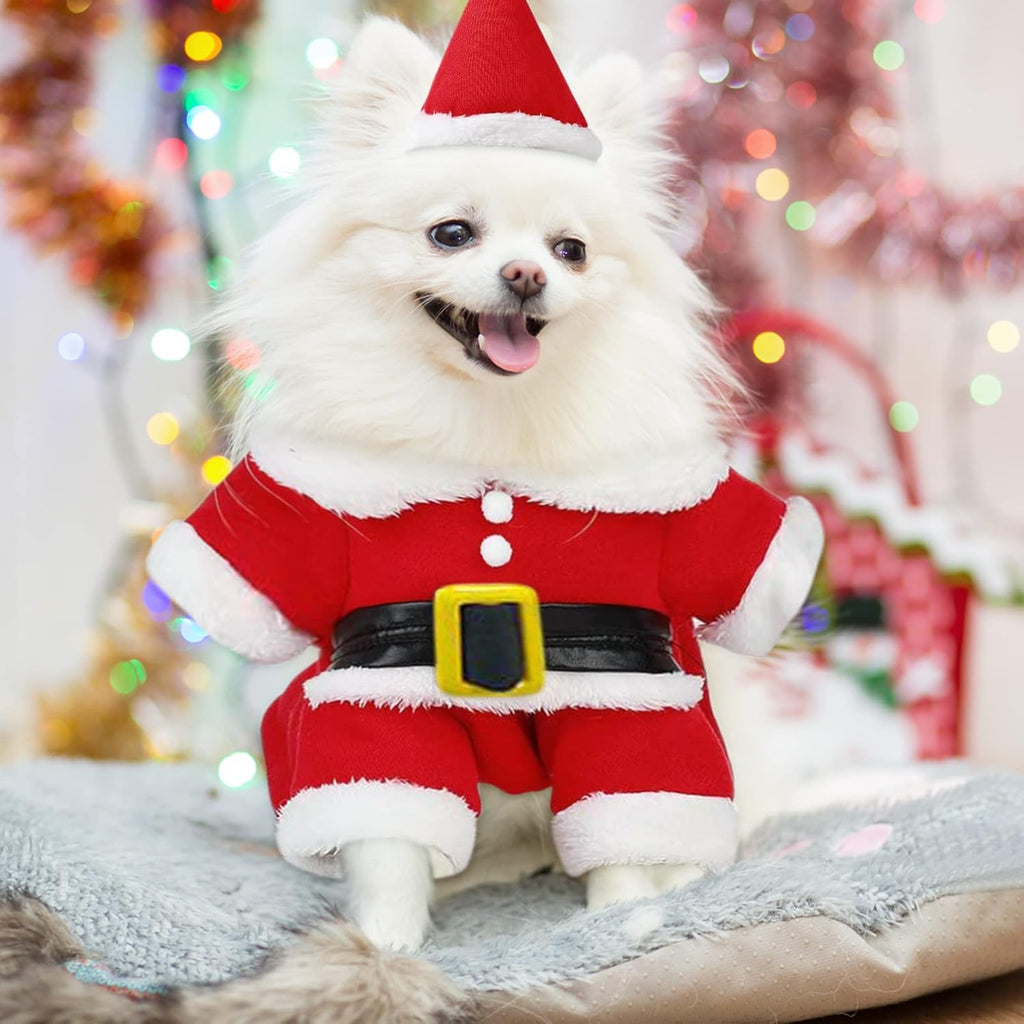 Déguisement Chien Père Noël