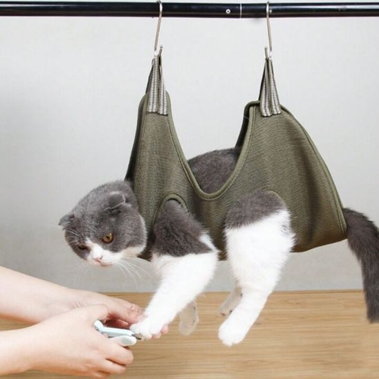 hamac à chat de toilettage