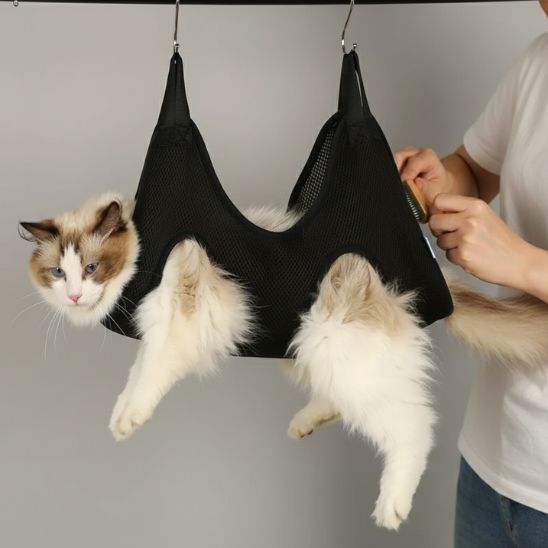 hamac à chat de toilettage