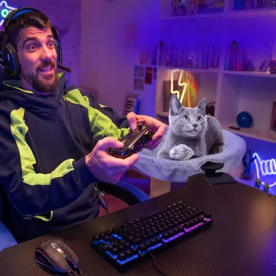 Hamac chat | Le Palier des Rêves