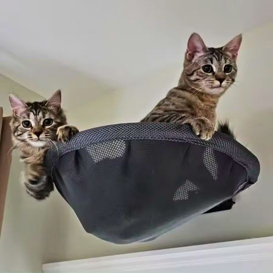 Hamac chat | L'Hamac Mural Confort