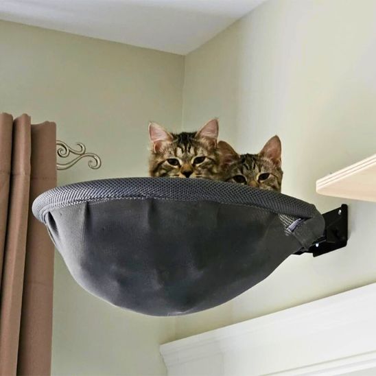 Hamac chat | L'Hamac Mural Confort