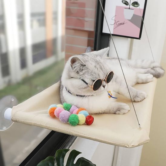 hamac pour chat | HAMAC WINDOW