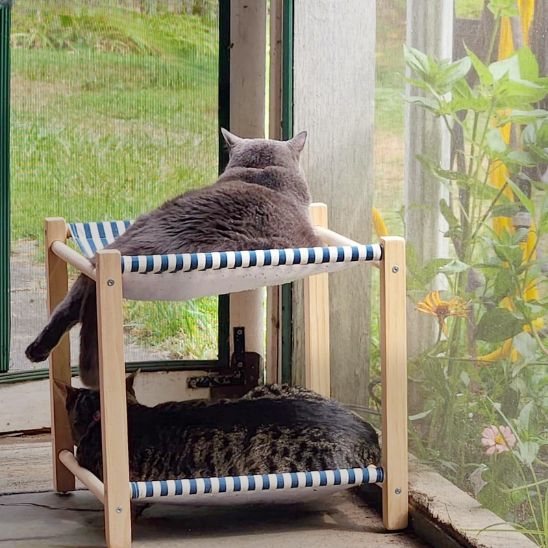 hamac pour chat double