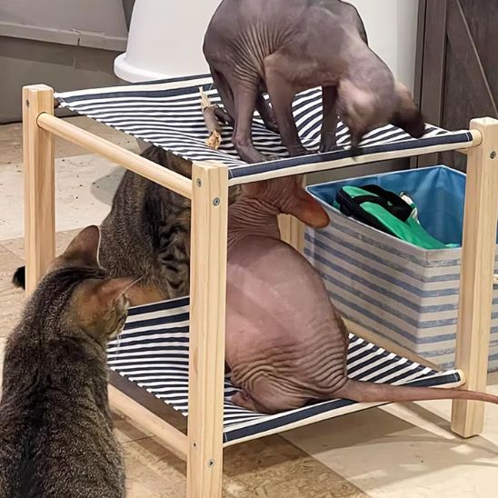 hamac pour chat double