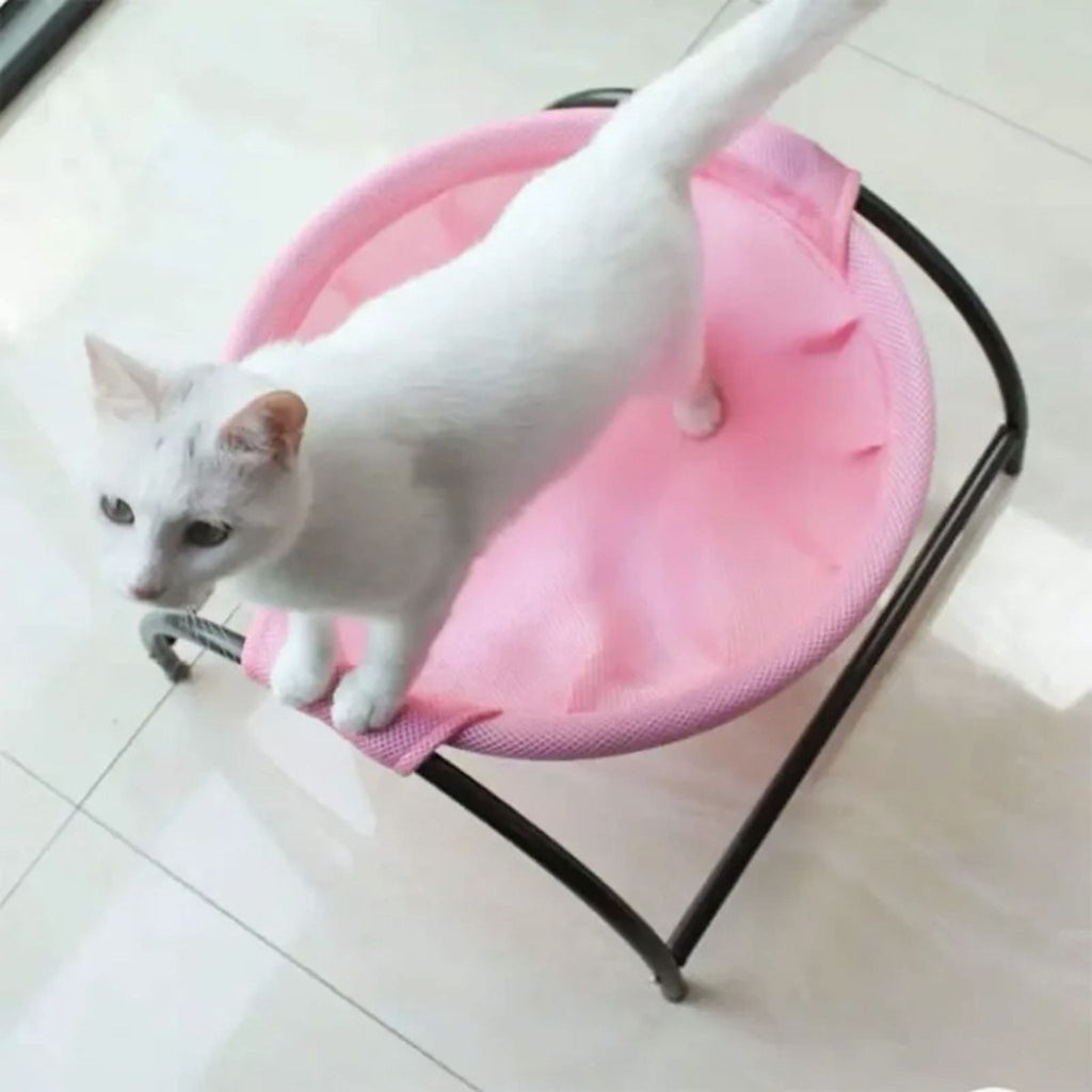 hamac pour chat | HAMAC COOL CAT