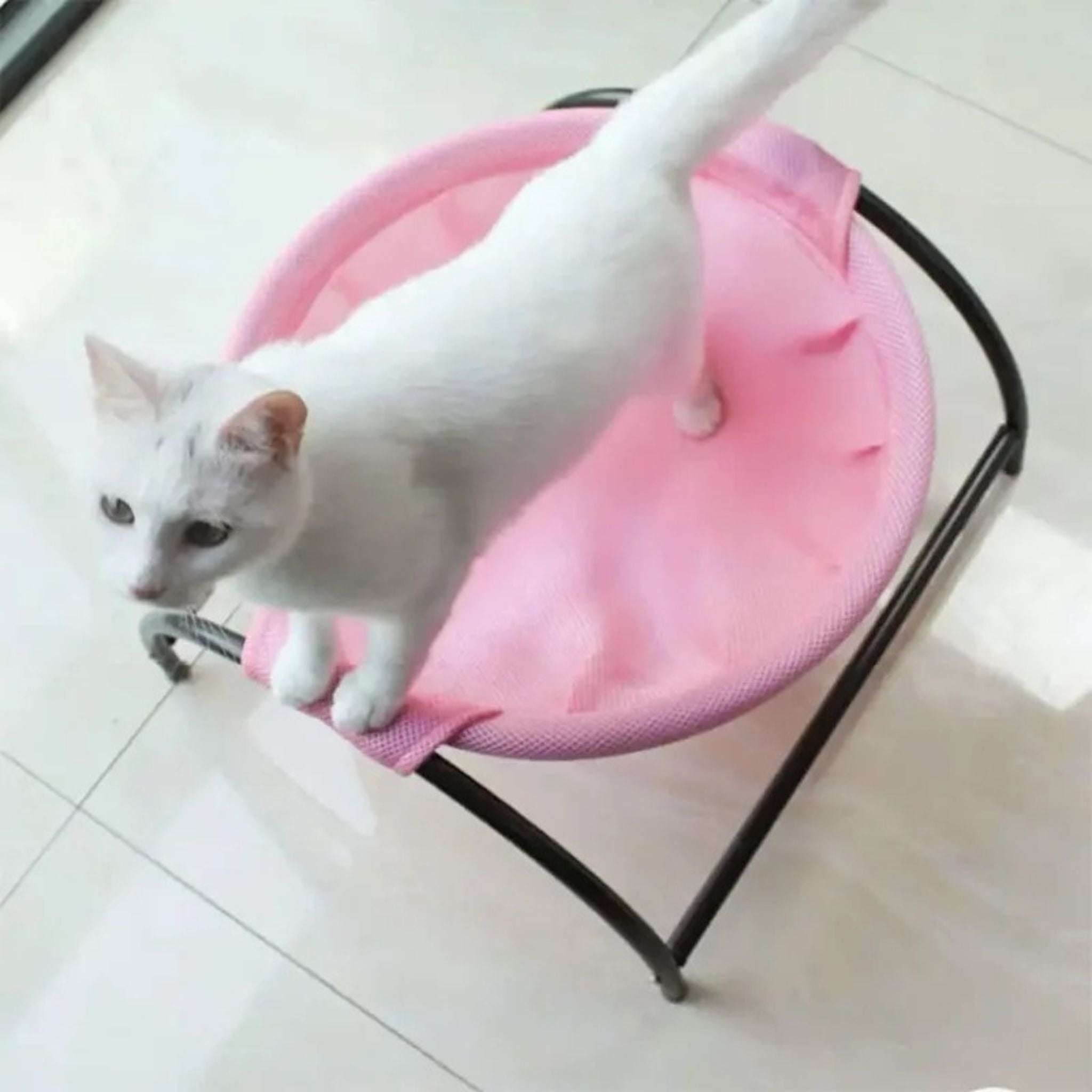 hamac pour chat | HAMAC COOL CAT