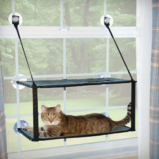 hamac pour chat fenêtre superposé