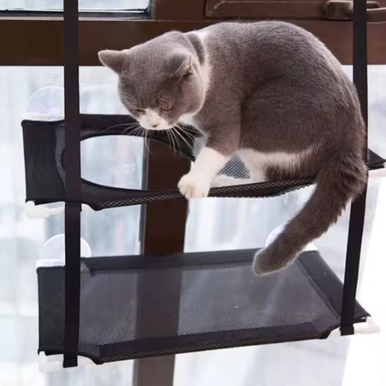 hamac pour chat fenêtre superposé