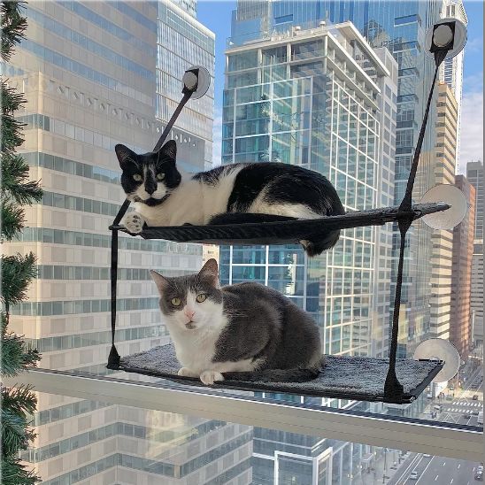 hamac pour chat fenêtre superposé
