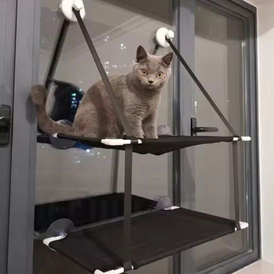 hamac pour chat fenêtre superposé
