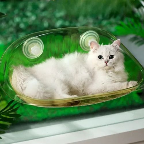 hamac pour chat fenetre transparent