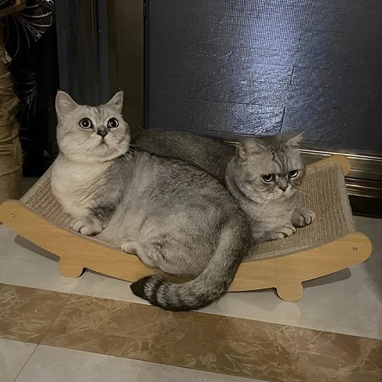hamac pour chat griffoir