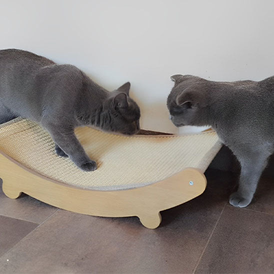 hamac pour chat griffoir