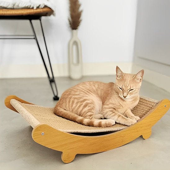 hamac pour chat griffoir