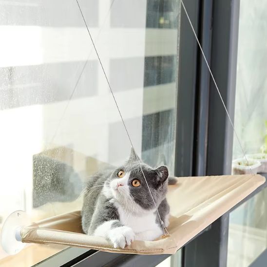 hamac pour chat | HAMAC WINDOW