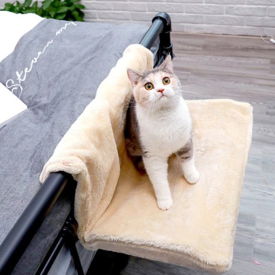 hamac pour chat radiateur | DODOCHO