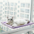 hamac-pour-chat-violet