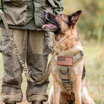 Harnais anti traction chien | WalkGuard™