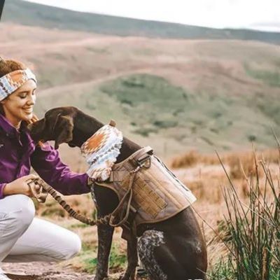Harnais anti traction chien | WalkGuard™
